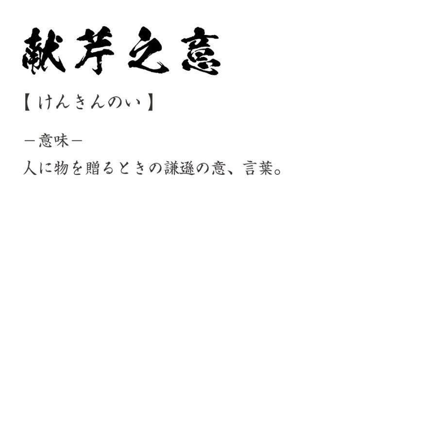 献芹之意 けんきんのい オリジナル Tシャツ 書道家が書く プリント Tシャツ 四字熟語 メンズ レディース キッズ Cus J つなぎ服と作業服のワークプロ 通販 Yahoo ショッピング