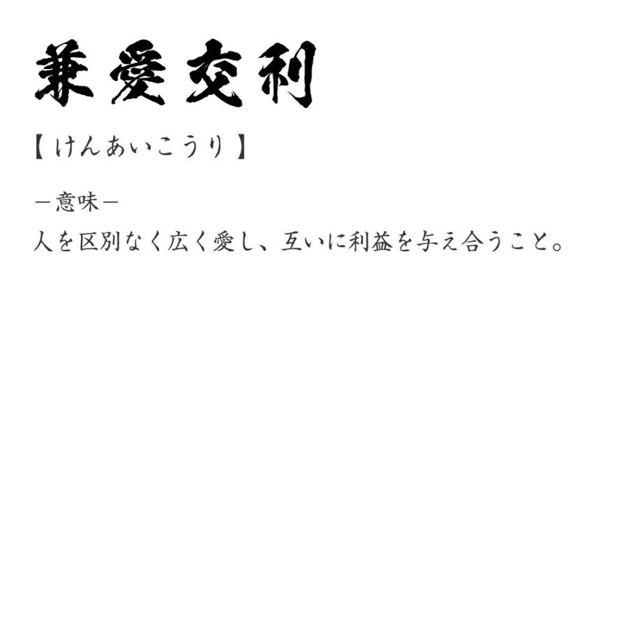 兼愛交利 (けんあいこうり) オリジナル Tシャツ 書道家が書く プリント Tシャツ ( 四字熟語 ) メンズ レディース キッズ｜workpro｜03