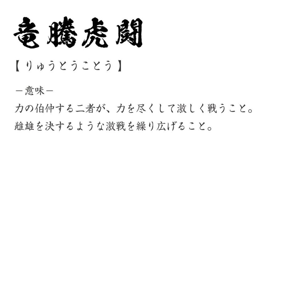 今だけポイント10倍 竜騰虎闘 りゅうとうことう オリジナル Tシャツ 書道家が書く プリント Tシャツ 四字熟語 メンズ レディース キッズ Cus J0106 つなぎ服と作業服の専門店 ワークプロ 通販 Yahoo ショッピング