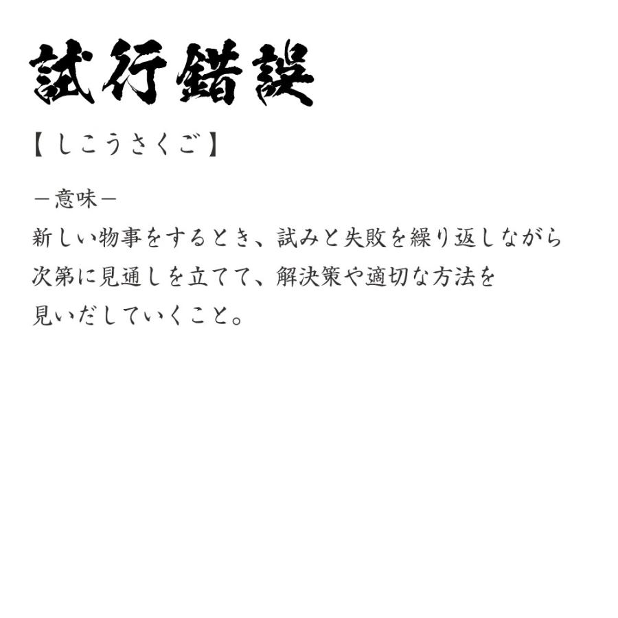 試行錯誤 (しこうさくご) 筆文字 Tシャツ 半袖 書道家が書く 名入れ