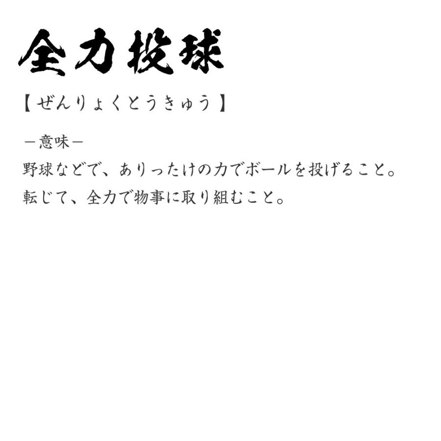 全力 四 字 熟語