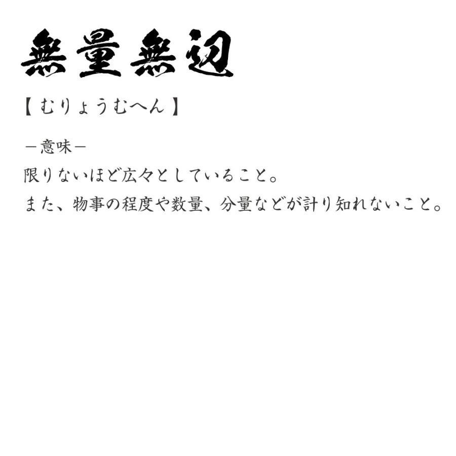 無量無辺 (むりょうむへん) 筆文字 Tシャツ 半袖 書道家が書く 名入れ 漢字 オリジナル プリント ( 四字熟語 ) メンズ レディース キッズ