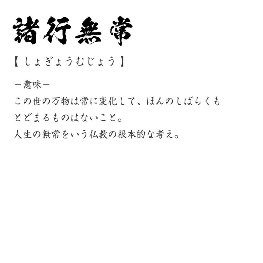 諸行無常 (しょぎょうむじょう) Tシャツ 半袖tシャツ 書道家が書く 名入れ オリジナル プリント ( 四字熟語 ) メンズ レディース キッズ