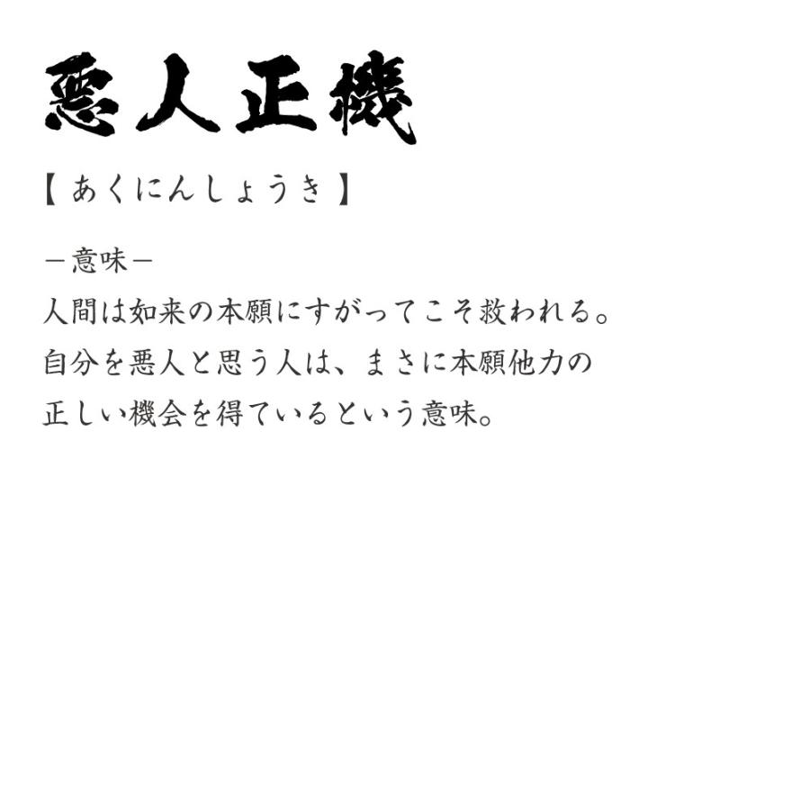 悪人正機 (あくにんしょうき) Tシャツ 書道家が書く オリジナル