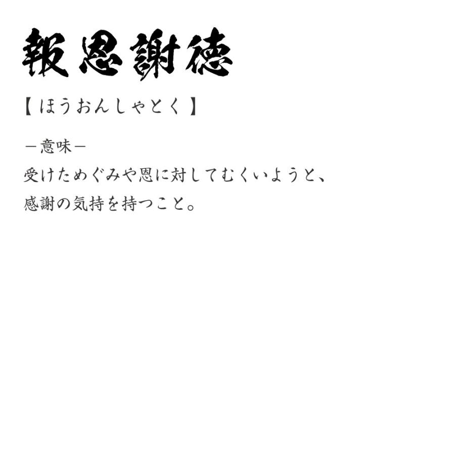 報恩謝徳 (ほうおんしゃとく) オリジナル Tシャツ 書道家が書く プリント Tシャツ ( 四字熟語 ) メンズ レディース キッズ｜workpro｜03