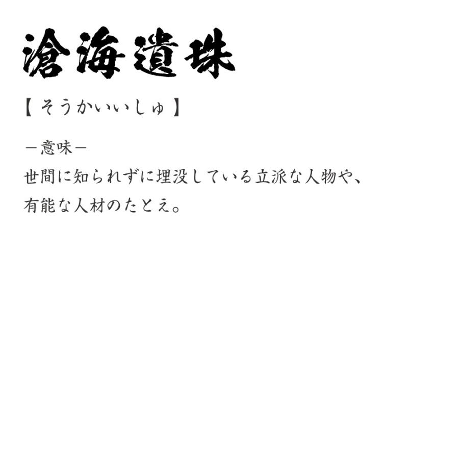 滄海遺珠 そうかいいしゅ オリジナル Tシャツ 書道家が書く プリント Tシャツ 四字熟語 メンズ レディース キッズ Cus J つなぎ服と作業服のワークプロ 通販 Yahoo ショッピング