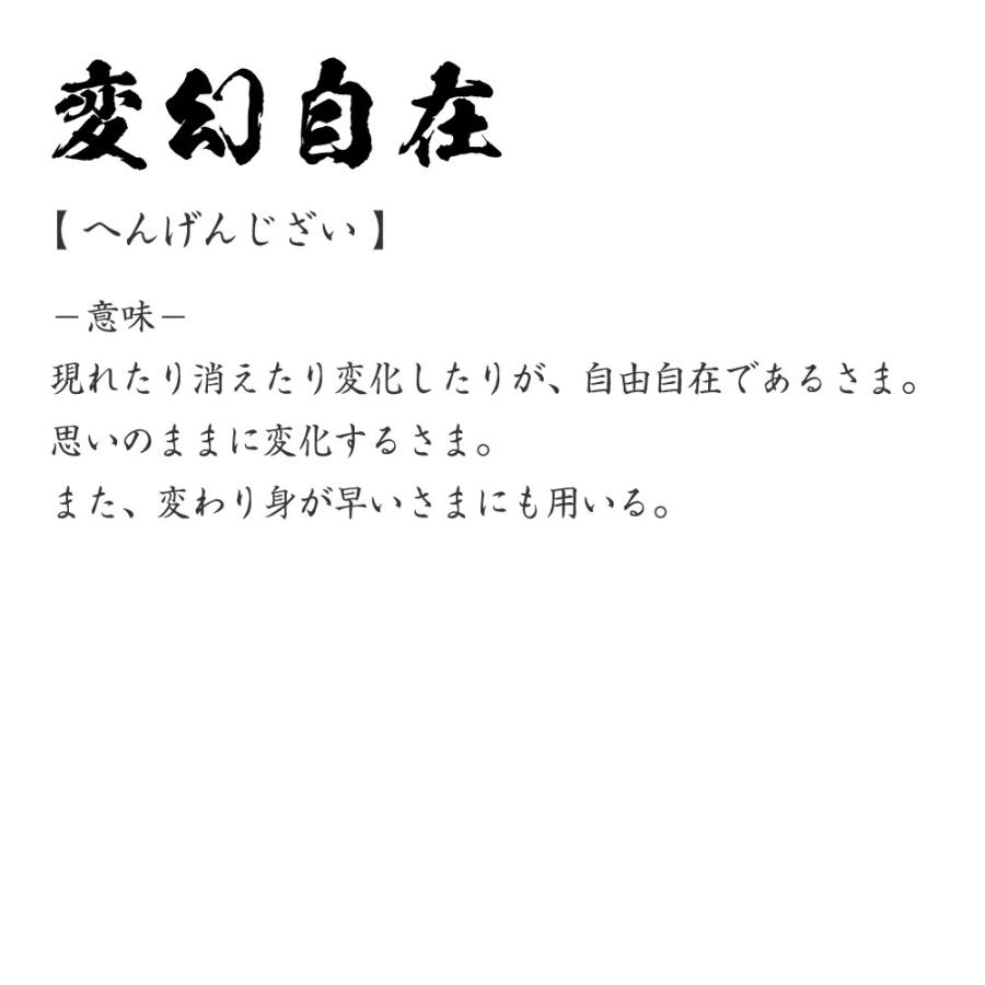 変幻自在 へんげんじざい オリジナル Tシャツ 書道家が書く プリント Tシャツ 四字熟語 メンズ レディース キッズ Cus J つなぎ服と作業服のワークプロ 通販 Yahoo ショッピング
