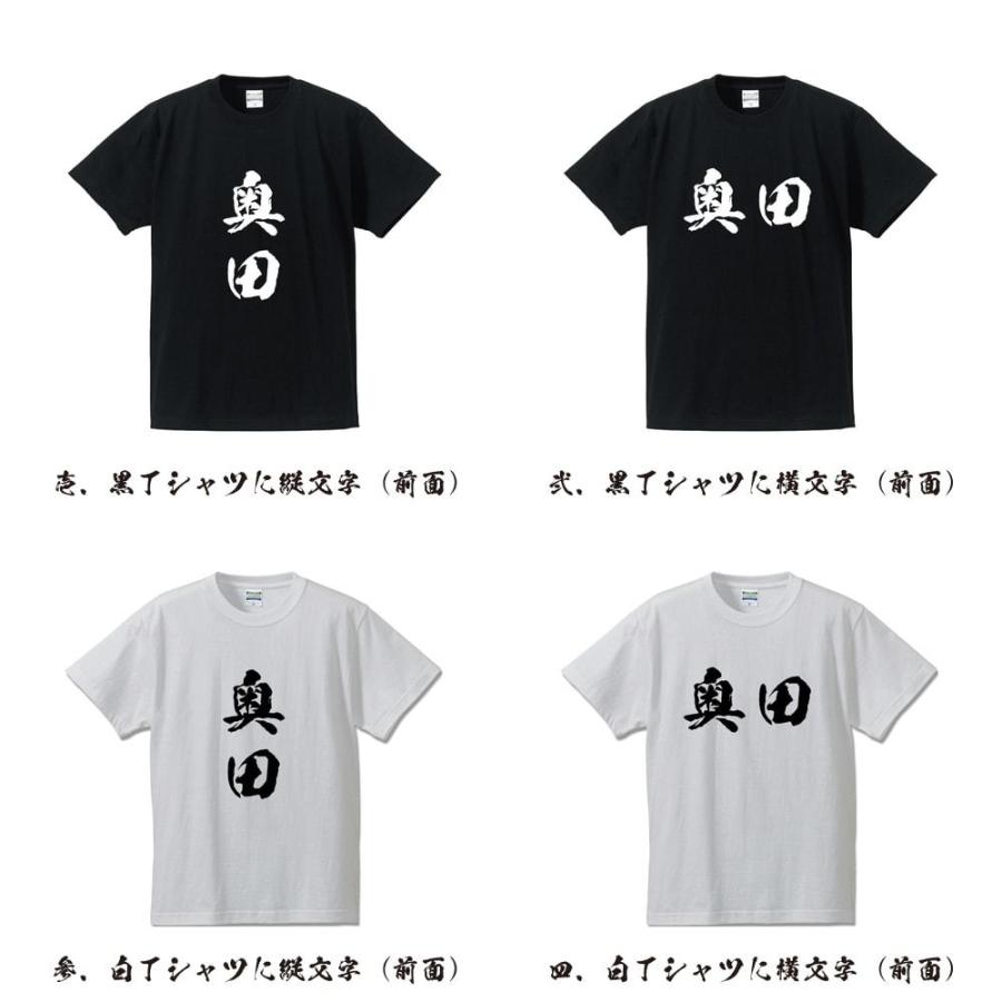 奥田 筆文字 Tシャツ 半袖 書道家が書く 名入れ 漢字 オリジナル