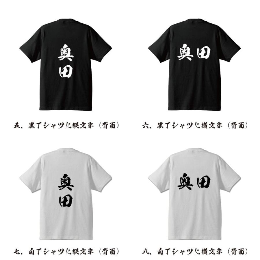 奥田 筆文字 Tシャツ 半袖 書道家が書く 名入れ 漢字 オリジナル