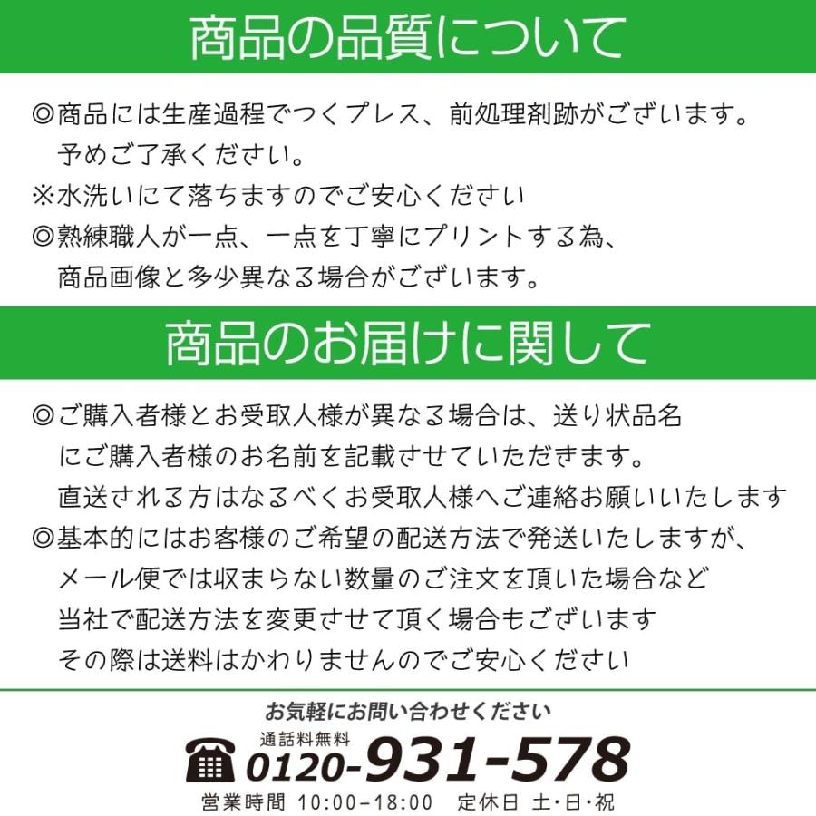 緒方 Tシャツ 書道家が書く オリジナル プリント ( 名字 ) メンズ 
