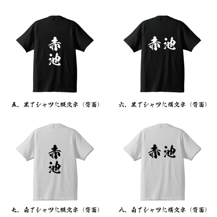 赤池 オリジナル Tシャツ 書道家が書く プリント Tシャツ ( 名字 ) メンズ レディース キッズ 「 格言Tシャツ 」｜workpro｜03