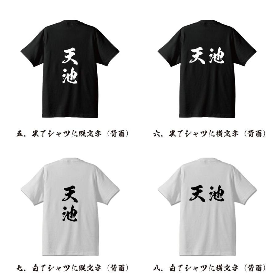 天池 筆文字 Tシャツ 半袖 書道家が書く 名入れ 漢字 オリジナル