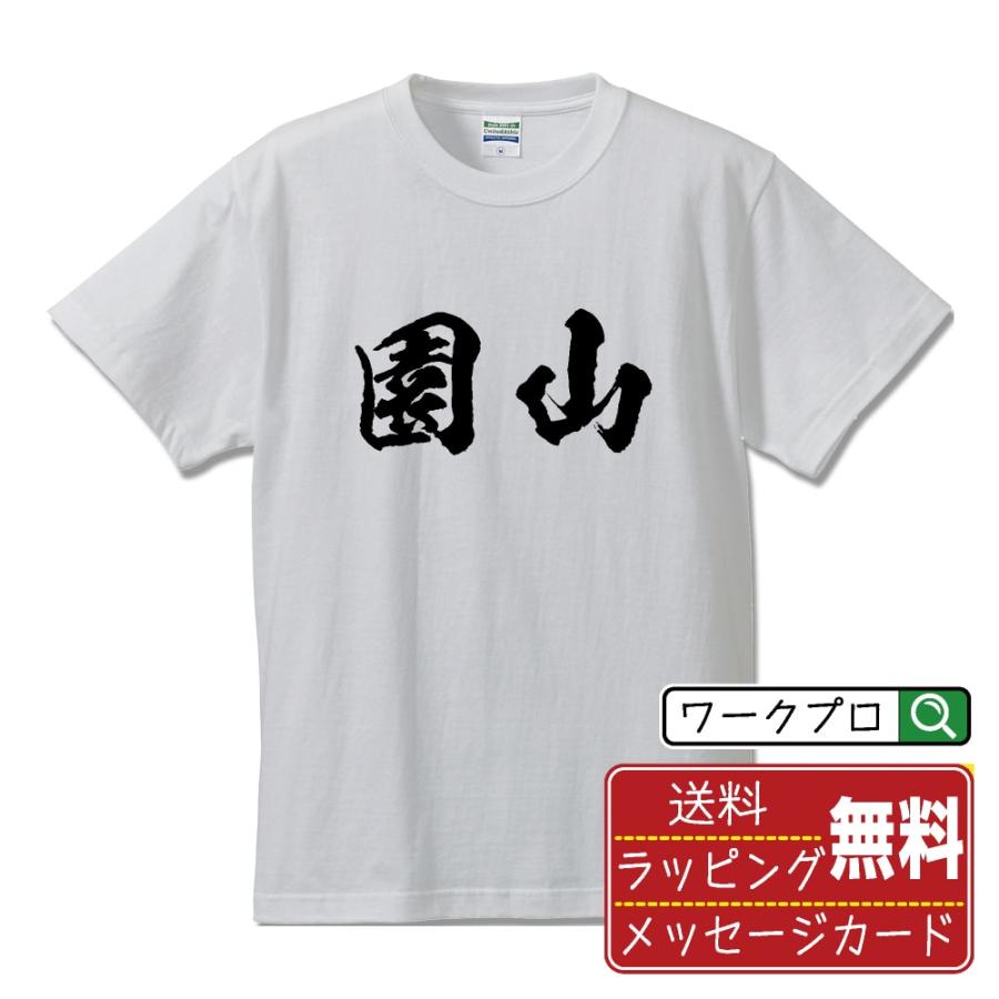 園山 筆文字 Tシャツ 半袖 書道家が書く 名入れ 漢字 オリジナル