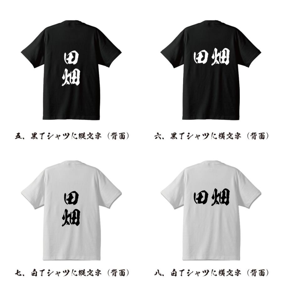田畑 筆文字 Tシャツ 半袖 書道家が書く 名入れ 漢字 オリジナル