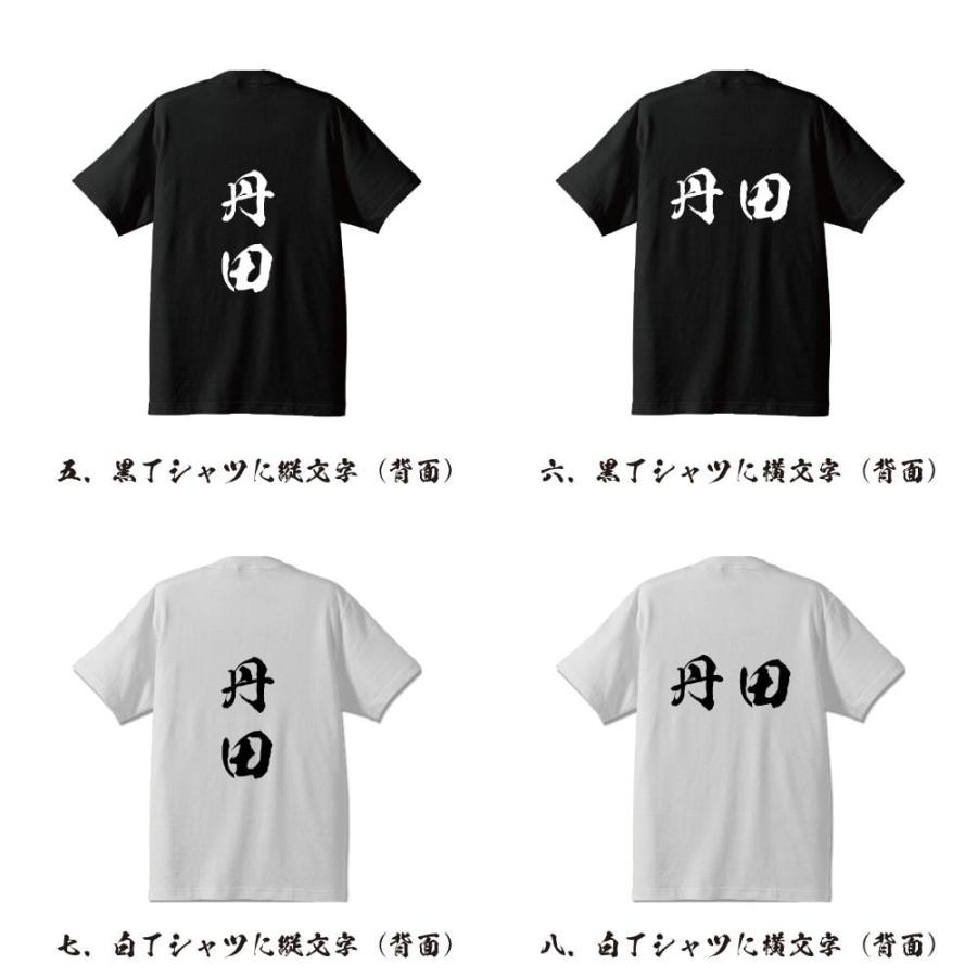 丹田 筆文字 Tシャツ 半袖 書道家が書く 名入れ 漢字 オリジナル