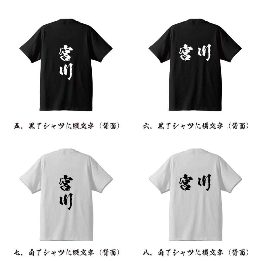 宮川 筆文字 Tシャツ 半袖 書道家が書く 名入れ 漢字 オリジナル