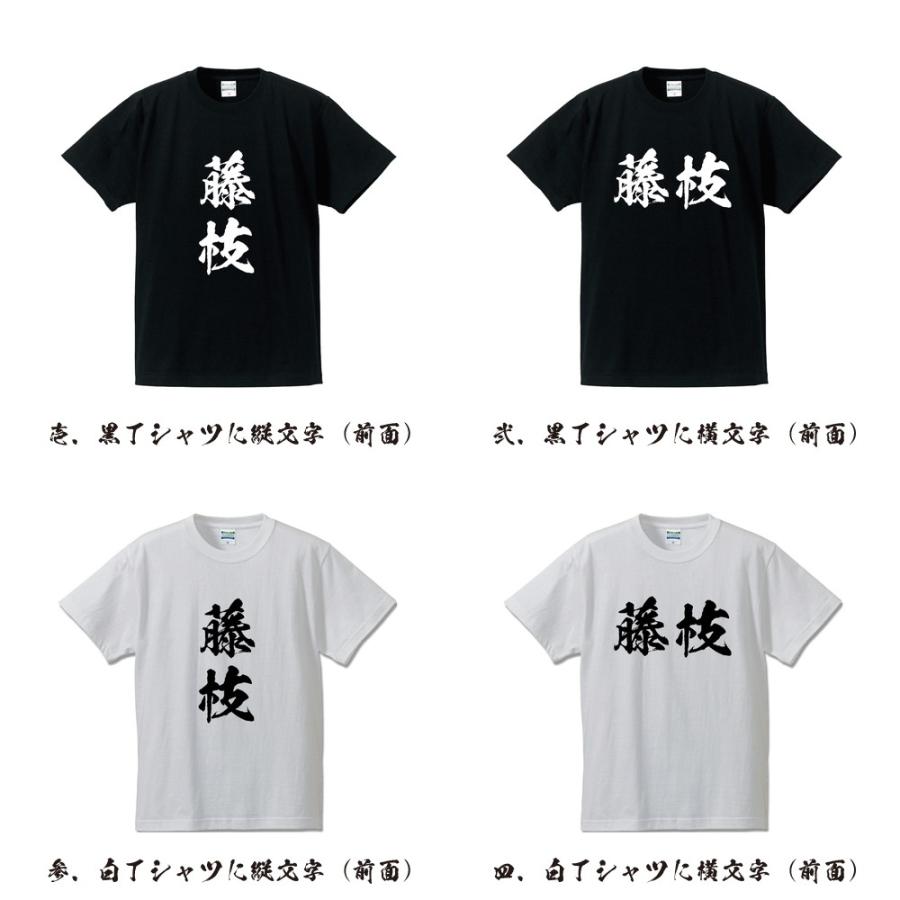藤枝 Tシャツ 半袖tシャツ 書道家が書く 名入れ オリジナル プリント