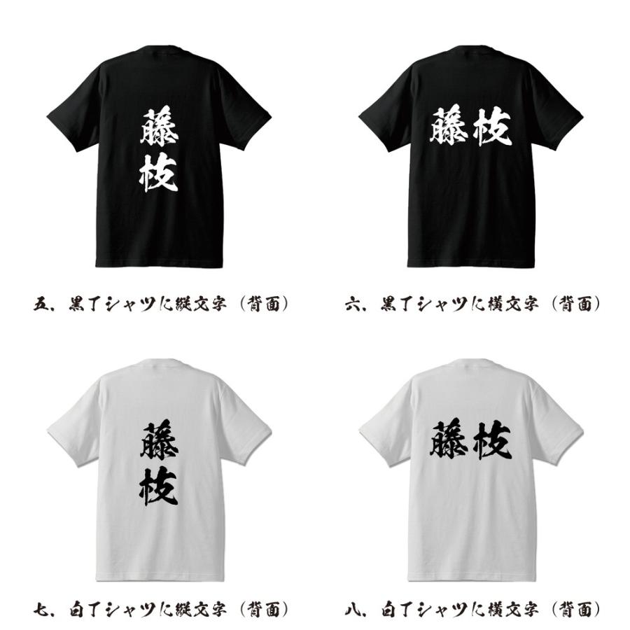 藤枝 Tシャツ 半袖tシャツ 書道家が書く 名入れ オリジナル プリント