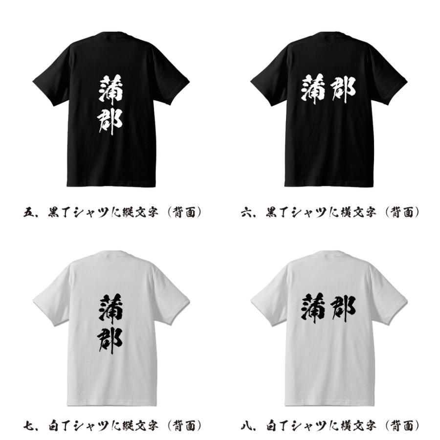 蒲郡 Tシャツ 半袖tシャツ 書道家が書く 名入れ オリジナル プリント
