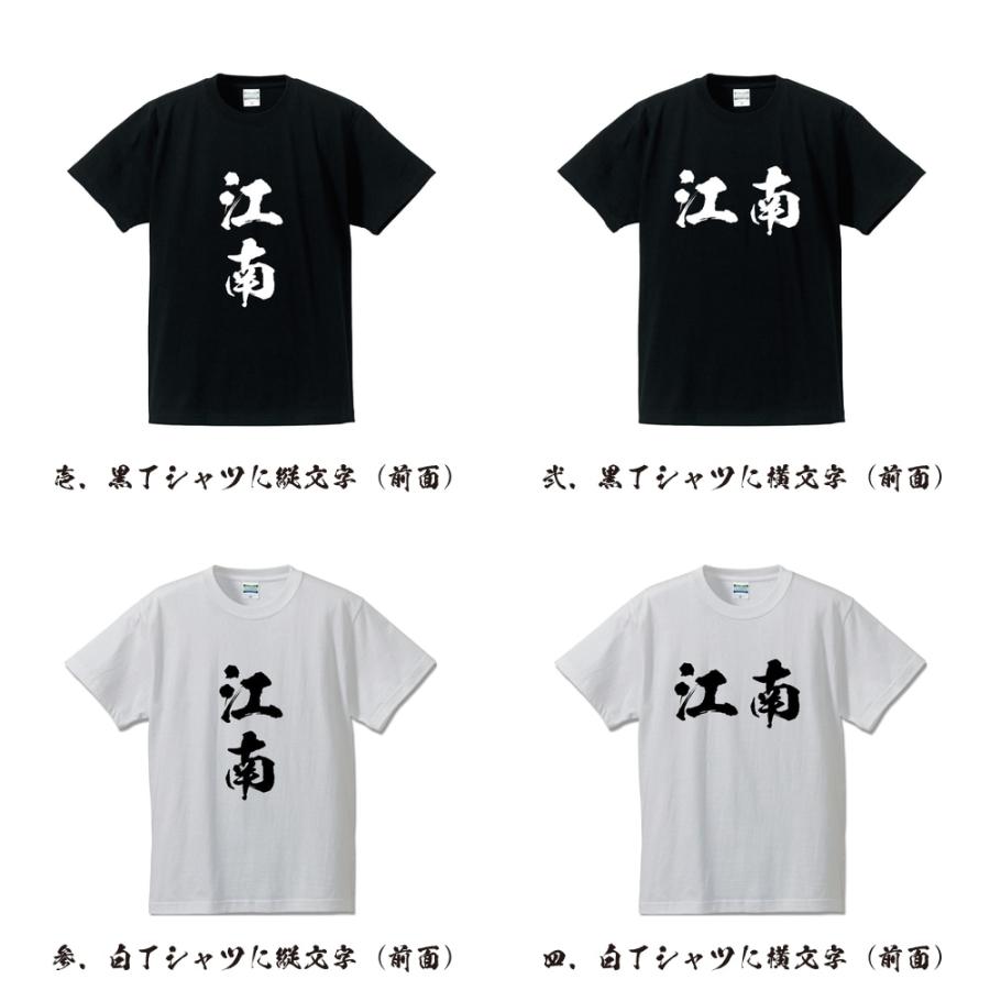 江南 筆文字 Tシャツ 半袖 書道家が書く 名入れ 漢字 オリジナル