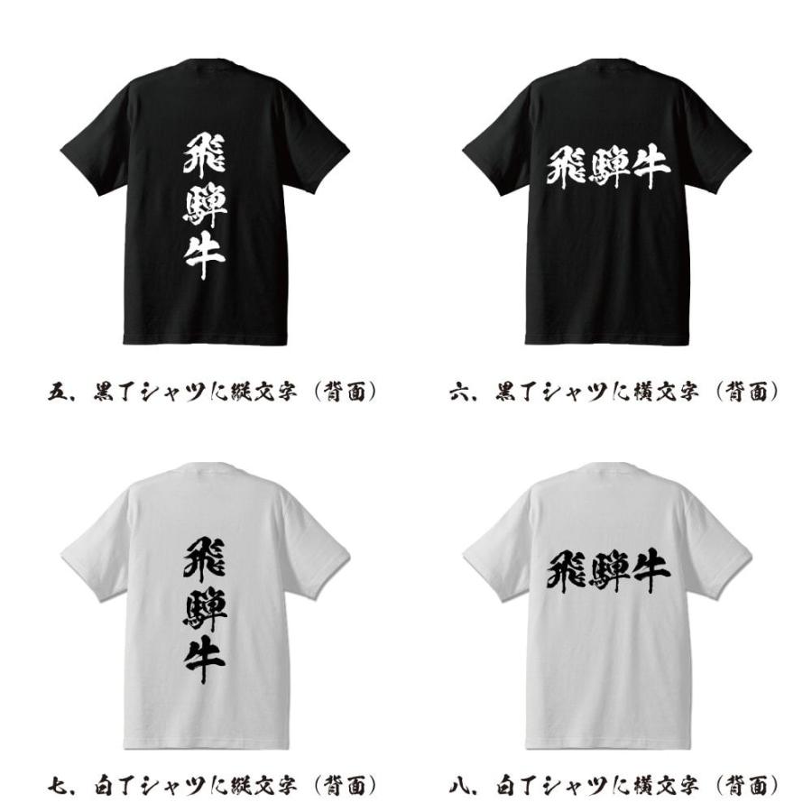 飛騨牛 Tシャツ 半袖tシャツ 書道家が書く 名入れ オリジナル プリント