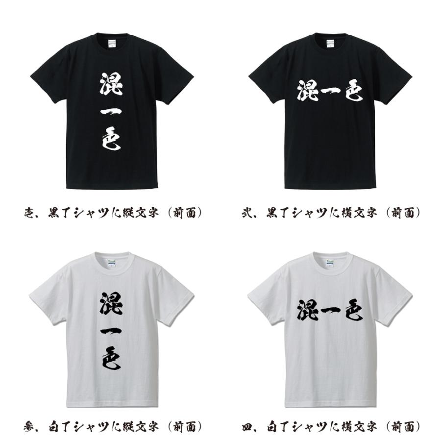 混一色 (ホンイーソー) 筆文字 Tシャツ 半袖 書道家が書く 名入れ 漢字