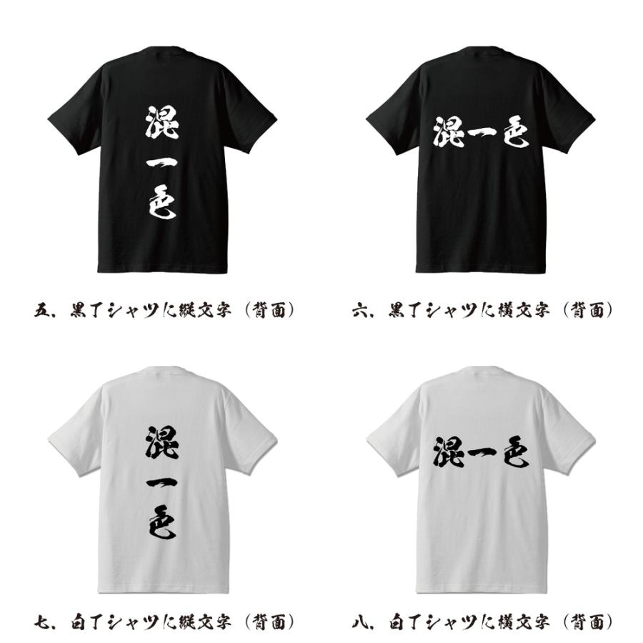 混一色 (ホンイーソー) 筆文字 Tシャツ 半袖 書道家が書く 名入れ 漢字