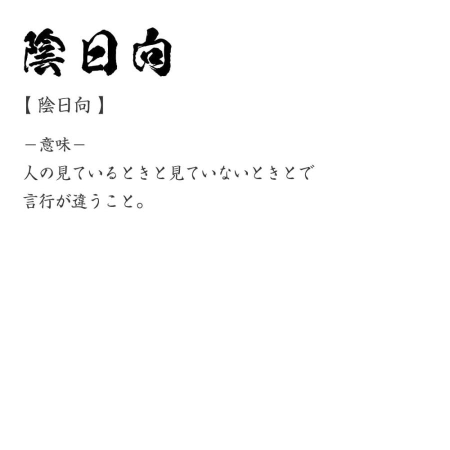 陰日向 かげひなた オリジナル Tシャツ 書道家が書く プリント Tシャツ 三字熟語 メンズ レディース キッズ Cus Z250 つなぎ服と作業服の専門店 ワークプロ 通販 Yahoo ショッピング