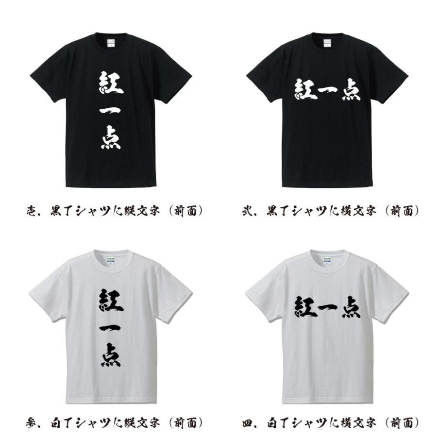 紅一点 (こういってん) 筆文字 Tシャツ 半袖 書道家が書く 名入れ 漢字 