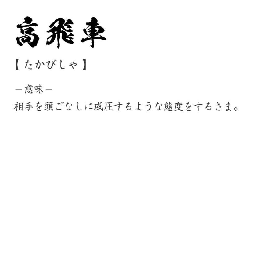 高飛車 たかびしゃ オリジナル Tシャツ 書道家が書く プリント Tシャツ 三字熟語 メンズ レディース キッズ Cus Z つなぎ服と作業服の専門店 ワークプロ 通販 Yahoo ショッピング