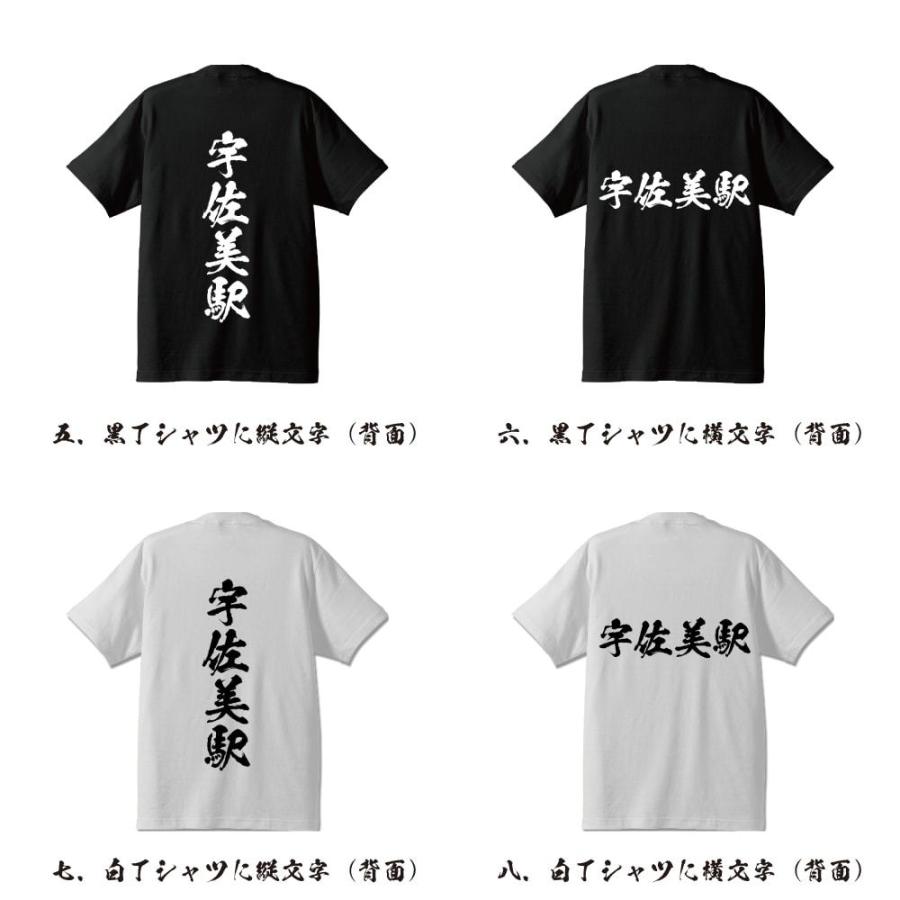 宇佐美駅 (うさみえき) 筆文字 Tシャツ 半袖 書道家が書く 名入れ 漢字