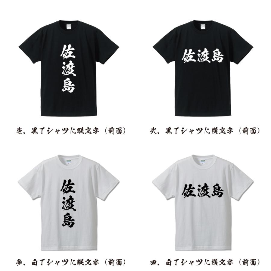 佐渡島 筆文字 Tシャツ 半袖 書道家が書く 名入れ 漢字 オリジナル