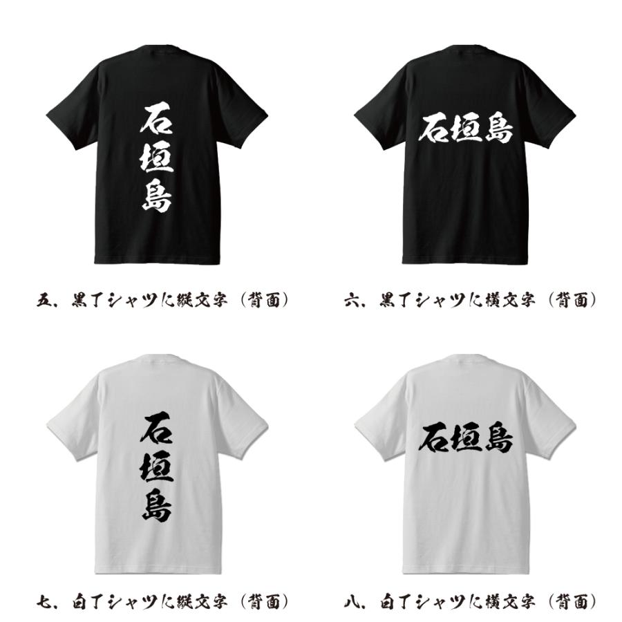 石垣島 Tシャツ 半袖tシャツ 書道家が書く 名入れ オリジナル プリント
