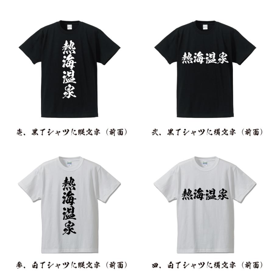 熱海温泉 Tシャツ 半袖tシャツ 書道家が書く 名入れ オリジナル