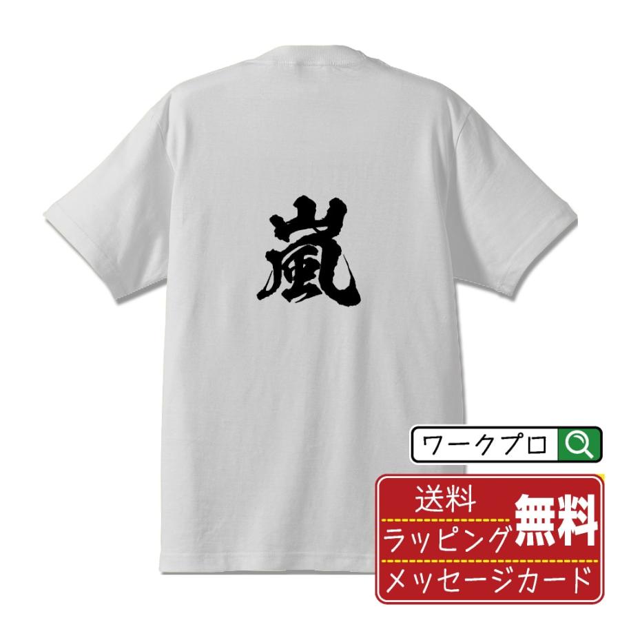 嵐 (あらし) 筆文字 Tシャツ 半袖 書道家が書く 名入れ 漢字