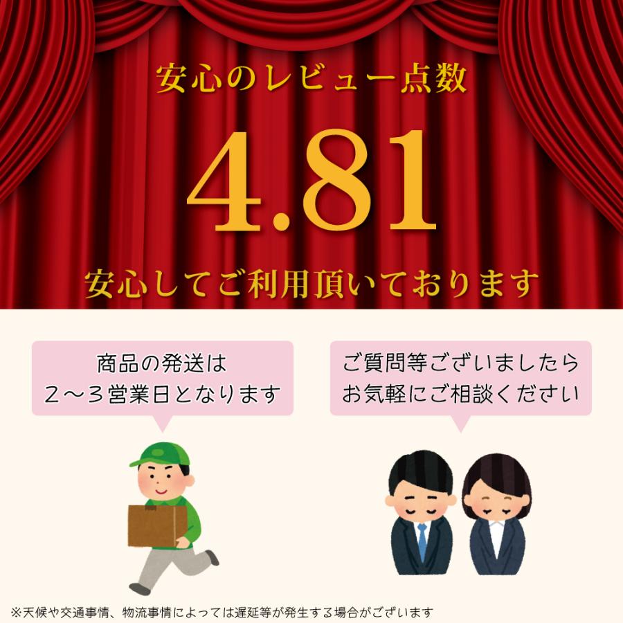 大きいサイズ KANSAI 作業ズボン 春夏 制電 カーゴパンツ メンズ 消臭 山本寛斎 カンサイユニフォーム K20005 |  | 06