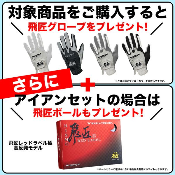 ワークスゴルフ ゴルフ クラブ アイアン CBRブラックプレミア ワークスゴルフ ゴルフ クラブ アイアン CBRブラックプレミア