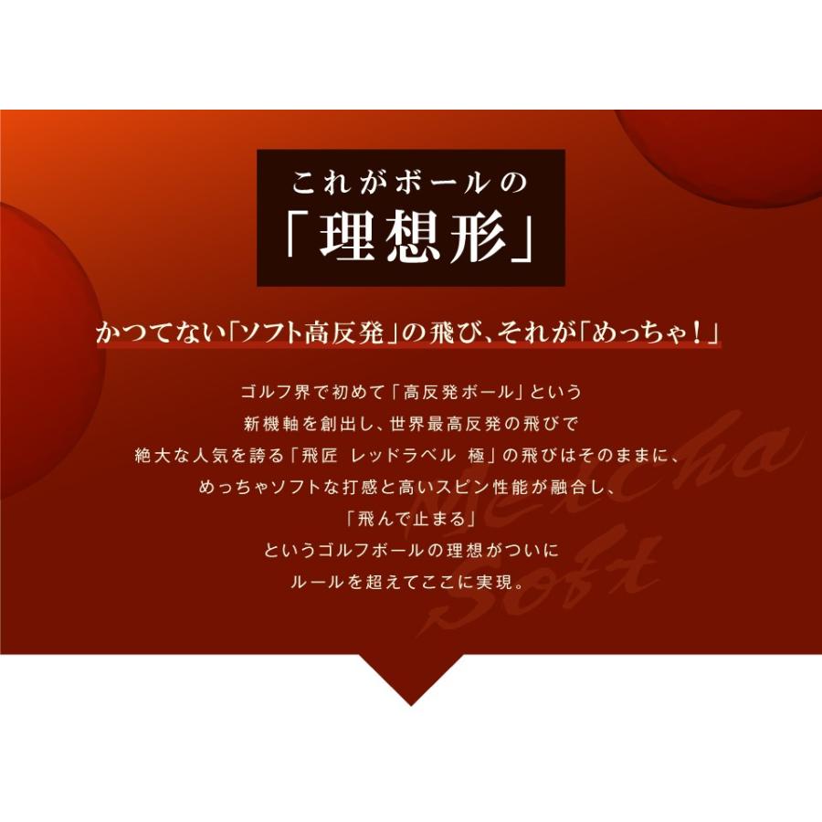 ワークスゴルフ ゴルフ メーカー直販 ゴルフ ボール 高反発 1ダース 飛