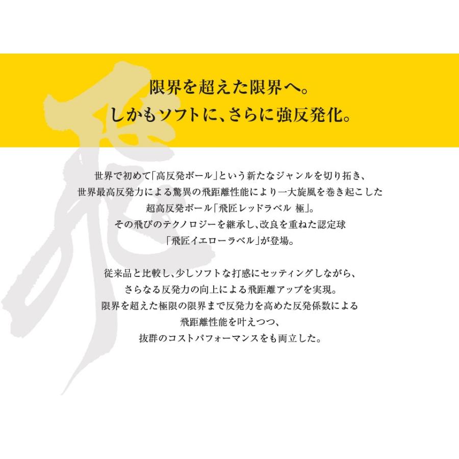 ワークスゴルフ ゴルフ ボール 飛匠イエローラベル 1ダース ワークスゴルフ ゴルフ ボール 飛匠イエローラベル 1ダース