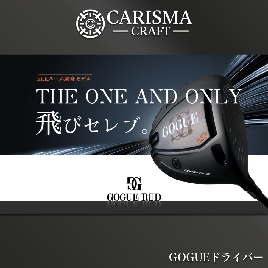 ワークスゴルフ 爆買 WORKSGOLF(ワークスゴルフ) SLE適合 GOGUE R II D