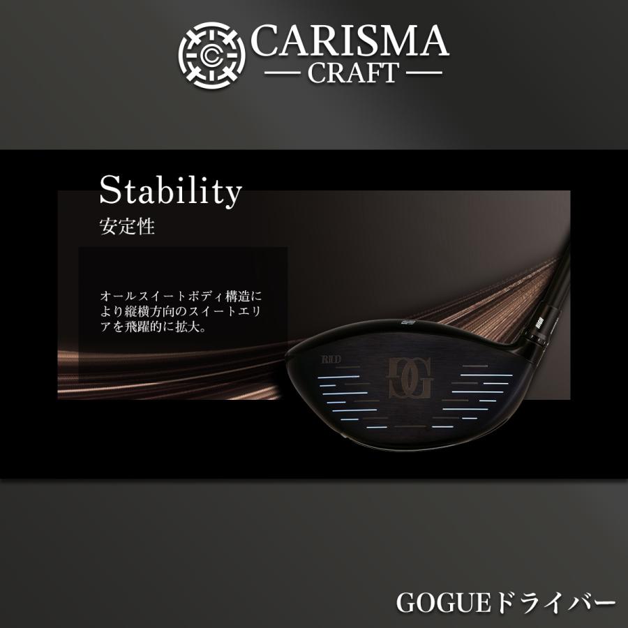 ワークスゴルフ 爆買 WORKSGOLF(ワークスゴルフ) SLE適合 GOGUE R II D