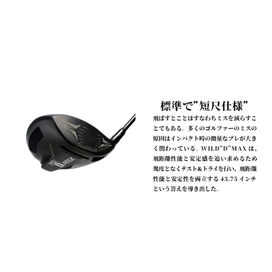ワークスゴルフ 爆買 WORKSGOLF(ワークスゴルフ) SLE適合 WILD D MAX