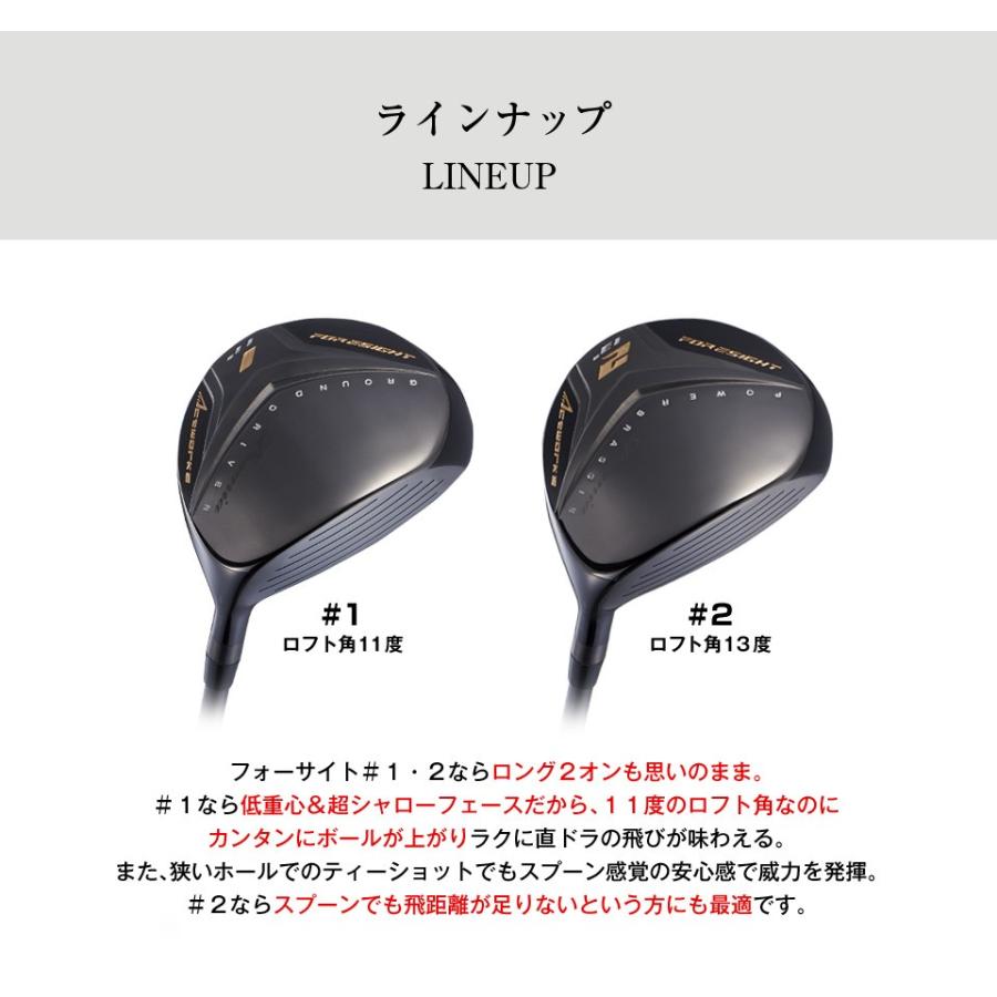 ワークスゴルフ WORKSGOLF(ワークスゴルフ) 高反発 フォーサイト ワークスゴルフ WORKSGOLF(ワークスゴルフ) 高反発 フォーサイト