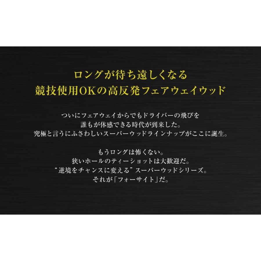 ワークスゴルフ WORKSGOLF(ワークスゴルフ) 高反発 フォーサイト ワークスゴルフ WORKSGOLF(ワークスゴルフ) 高反発 フォーサイト