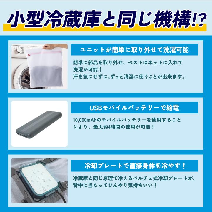 ビッグボーン 冷蔵服 フルセット 春夏 空風作業服 ペルチェ メンズ レディース 仕事服 作業着 おしゃれ bb-th603set | bigborn | 02