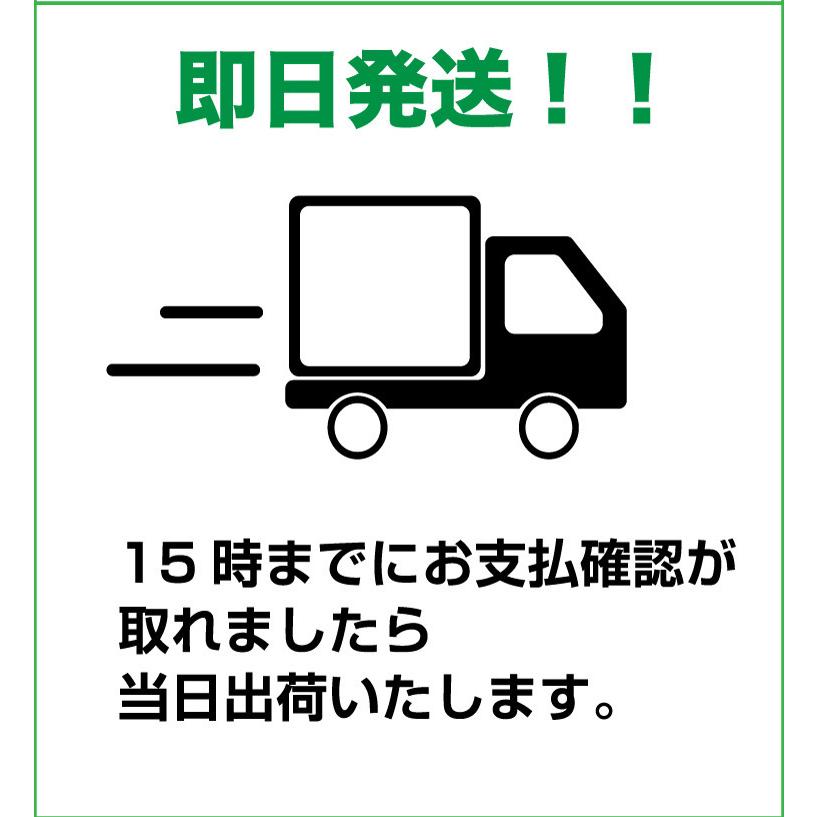 強粘着 貼るマスク ひもなしで耳が痛くならない 男女兼用 PFE99％以上 不織布マスク 5枚入｜workupstore｜12