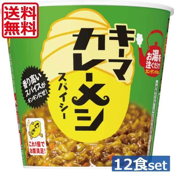 送料無料 日清食品 キーマカレーメシ スパイシー 105g×2箱 【12個】｜world-cl