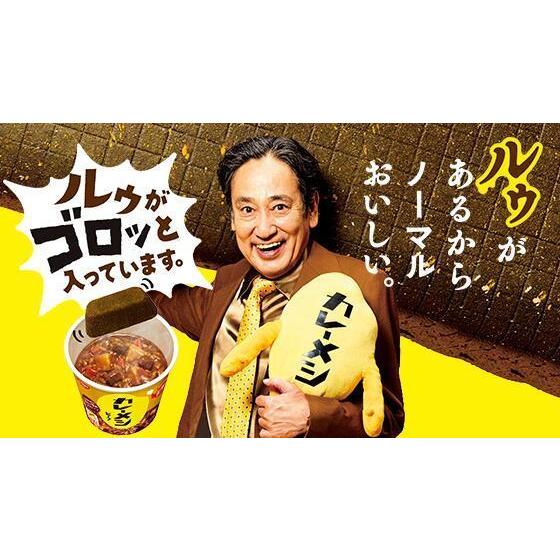 日清食品 送料無料 カレーメシビーフ 107g×2箱 【12個