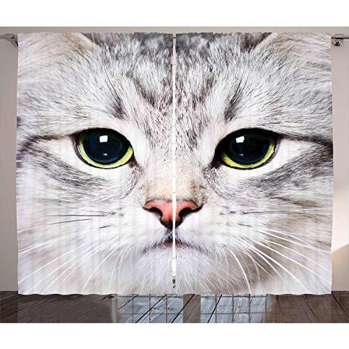 オープニング大セール Ambesonne Animal Portrait画像可愛いペットデザイン 窓 Up Decorationsコレクション かわいい猫印刷子猫close その他カーテン ブラインド レール Baskincoffee Vicom Corp Com