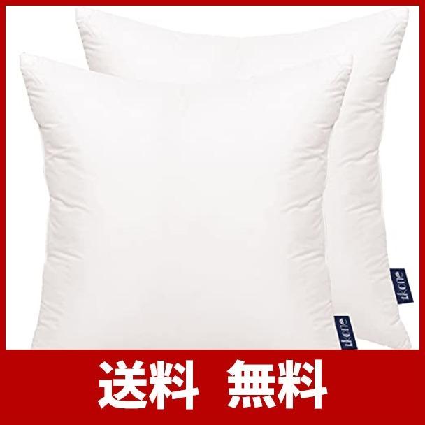 Tkone クッション 枕 ヌードクッション 中身 高反発 抱き枕 ポリエステル100 柔らかい 圧倒的ボリューム感 型崩れしない吸汗 速乾 洗える ワールドグッズストア 通販 Yahoo ショッピング